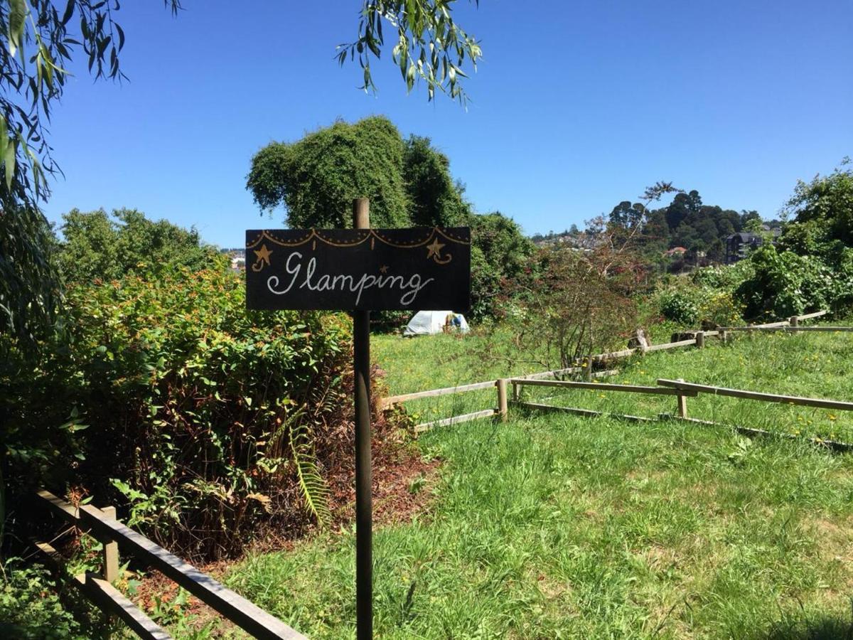 La Guapa Hostel Puerto Varas Eksteriør bilde